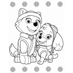 Desenho da Patrulha Canina para colorir