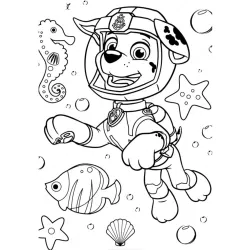 Desenho da Patrulha Canina para colorir