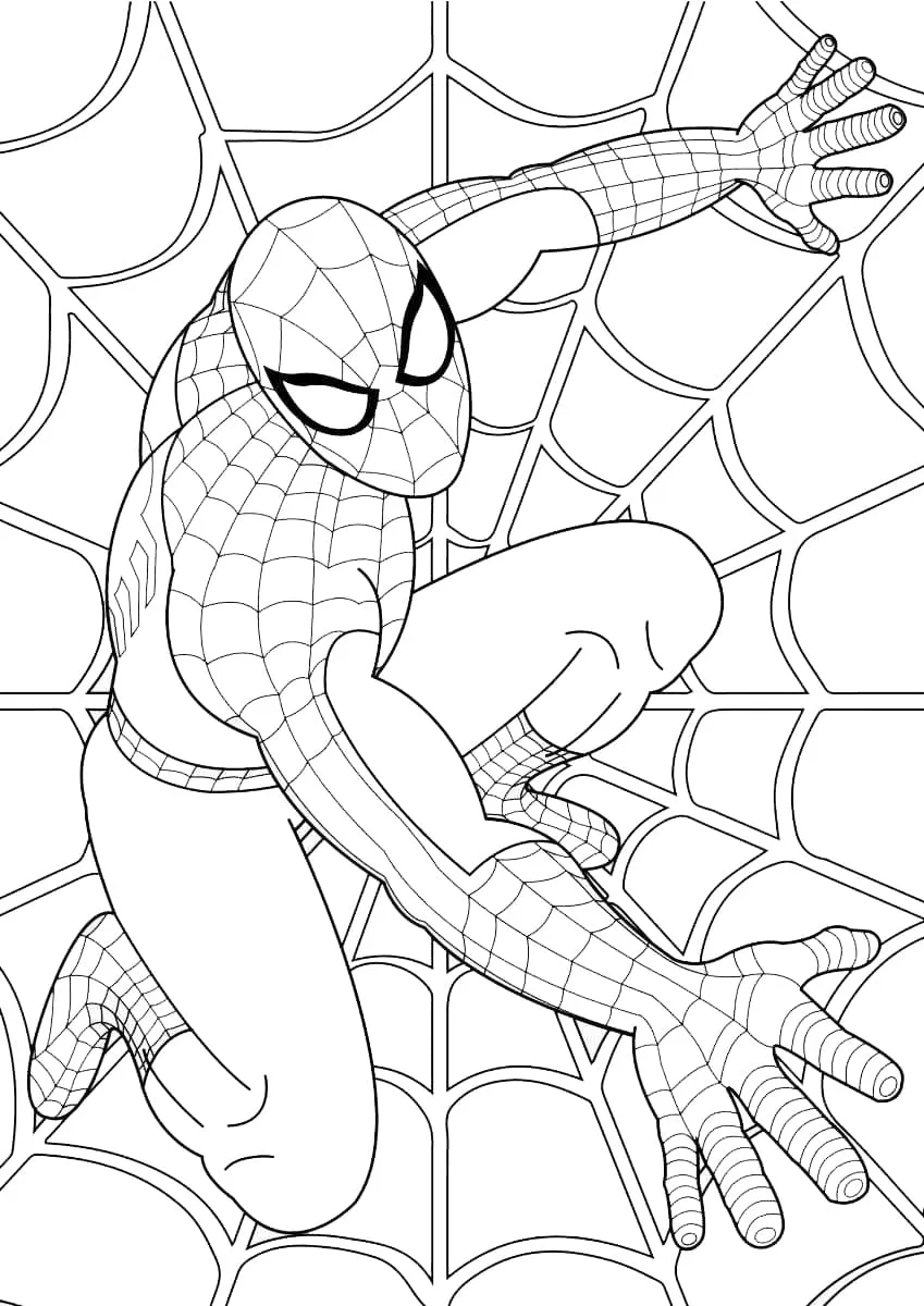 Homem Aranha para colorir
Desenho do Homem Aranha para colorir
Spiderman para colorir
Miles Morales para colorir
Homem Aranha e Venom para colorir
Personagem Homem Aranha para colorir